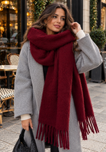 Load image into Gallery viewer, Autumn Burgundy Scarf