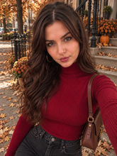 Load image into Gallery viewer, Turtle neck Top